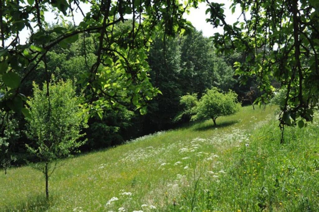 Stilvolles Landhaus im Dreiländereck Felsőszölnök Exterior foto
